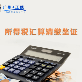 所得稅匯算清繳鑒證（年收入50萬(wàn)以?xún)?nèi)）