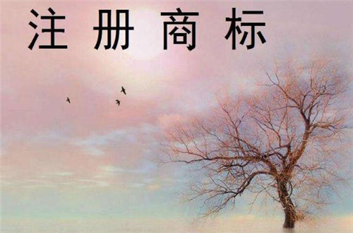 注冊商標流程及費用