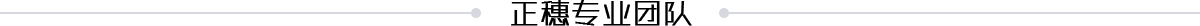 正穗專業團隊
